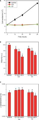 Similarities and Differences in the Effects of Toxic Concentrations of Cadmium and Chromium on the Structure and Functions of Thylakoid Membranes in Chlorella variabilis